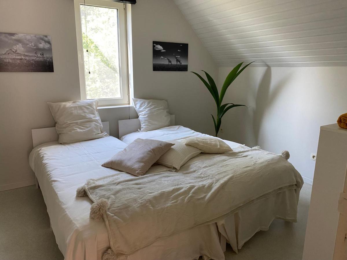 B&B Maison Blanche Gent Dış mekan fotoğraf